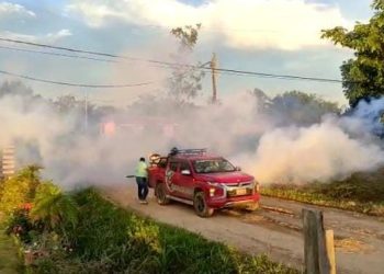 El dengue crece a un promedio de 84 casos por día en Santa Cruz, piden declarar emergencia nacional