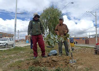 La forestación