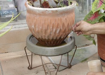 Continúa la limpieza contra los mosquitos del dengue