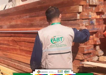 Más de 10.000 pies tablares de madera son decomisados por la ABT