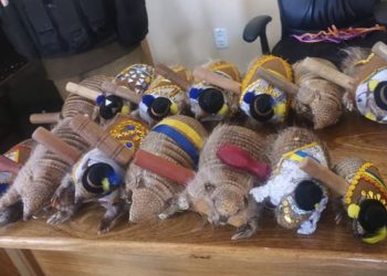 Prohibido el uso de plumas y pieles de la fauna silvestre en las entradas del Carnaval