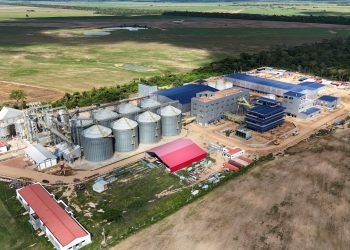 Más de 400 productores se benefician con planta de soya en San Julián
