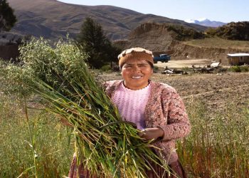 Mujer BDP benefició a 3.917 productoras y emprendedoras