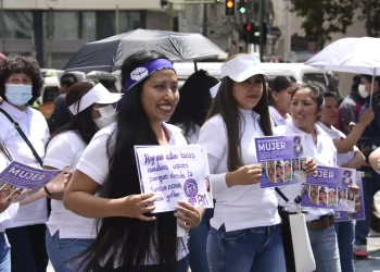 Democracia y género, más allá de la representación