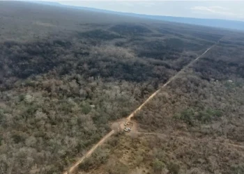 Defensa Civil anuncia ‘mitigación total’ del fuego en Ñembi Guasu