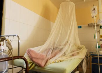 Un niño muere con síntomas de dengue en Santa Cruz, son 38 decesos en el país