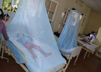 Dos niños están en terapia intensiva y en ‘situación crítica’ por el dengue en Santa Cruz