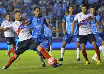 nacional_potosi_blooming.jpg