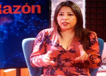 La viceministra Cruz explicó los alcances del plan.