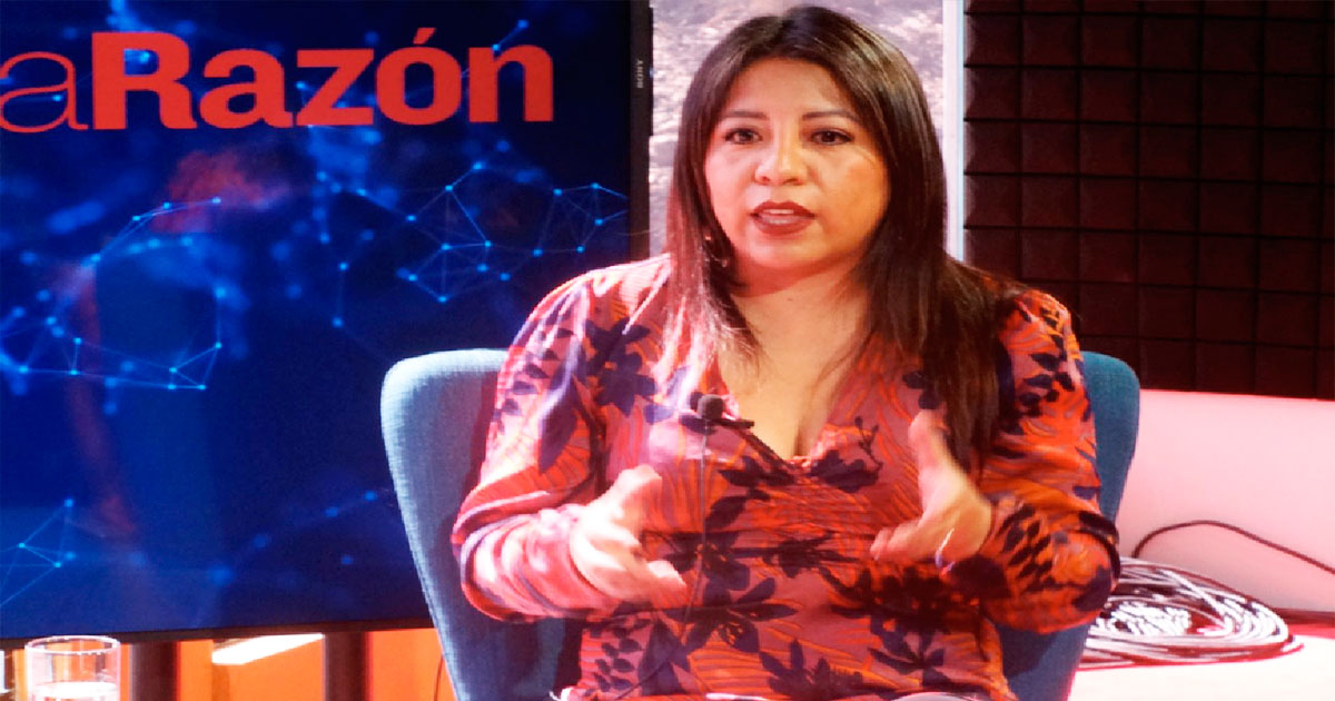 La viceministra Cruz explicó los alcances del plan.