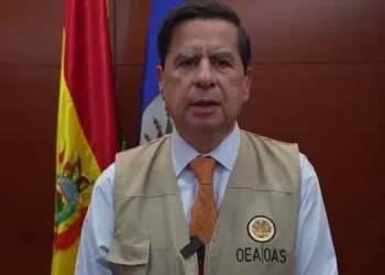Elecciones: OEA destaca participación masiva y correcto funcionamiento del Sirepre