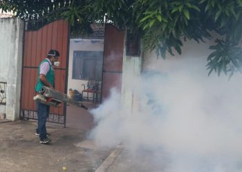 Santa Cruz espera que el dengue persista por al menos tres meses más