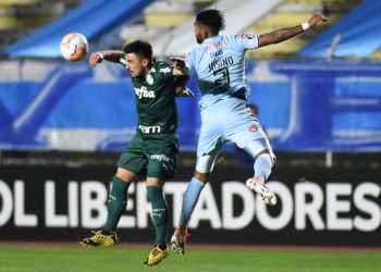 Palmeiras