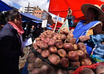 El precio de la papa en los mercados sufre un incremento desde el año pasado.