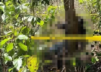 Una pareja es hallada sin vida y atada a un árbol en Pando