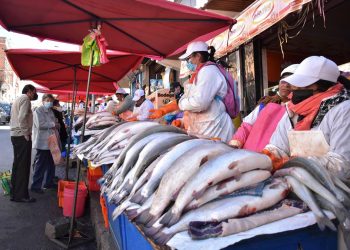 Comerciantes de pescado ofrecen el producto saludable. Foto: APG