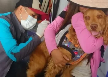 La Alcaldía de La Paz aguarda la entrega de vacunas para la campaña contra la rabia