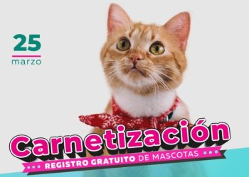 ¿Tiene mascotas? Este fin de semana debe registrarlas, conozca cómo hacerlo