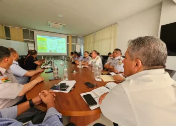 Ministerio de Defensa y FFAA se reúnen por los incendios