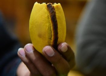 Pastelerías y salteñerías, en la mira de la Intendencia por el Día del Padre