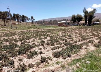 Las lluvias no llegan a El Alto, la Alcaldía se prepara para declarar estado de emergencia