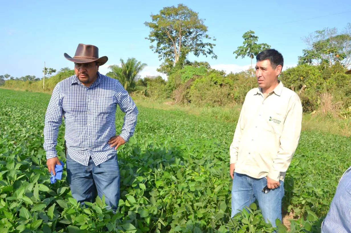Gobierno consolida base productiva de soya en Ixiamas