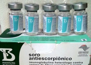 El país recibirá 146 sueros contra la picadura del alacrán, suficientes para al menos dos años