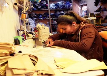 Sector productivo