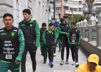 Algarañaz, Monteiro y Terceros se perfilan en el ataque de Bolivia