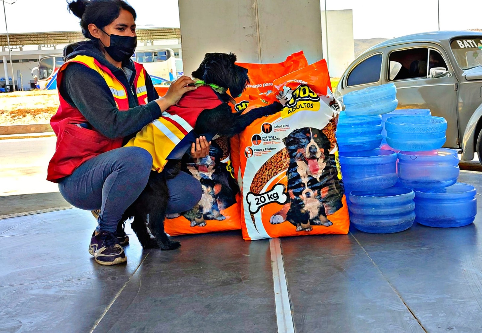 La Terminal de Buses de Tarija es hogar de al menos 41 canes, Snoopy es uno de los más mimados