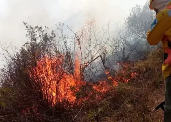 Arce anuncia sofocación del incendio en Toro Toro