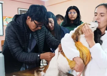 Sucre entra en campaña contra la rabia este fin de semana