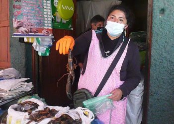 Mariscos desde Bs 80 el kilo, empiezan la oferta y controles por Semana Santa