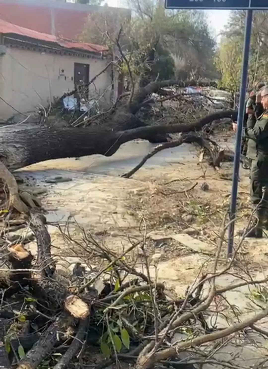 Vientos afectan semáforos y árboles en Tarija; hay alerta
