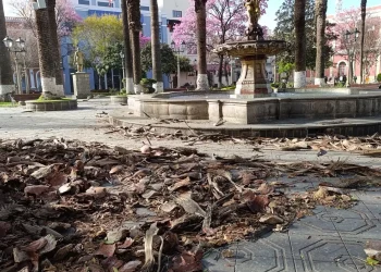 Los vientos causaron 17 emergencias en Tarija; se activó otra alerta
