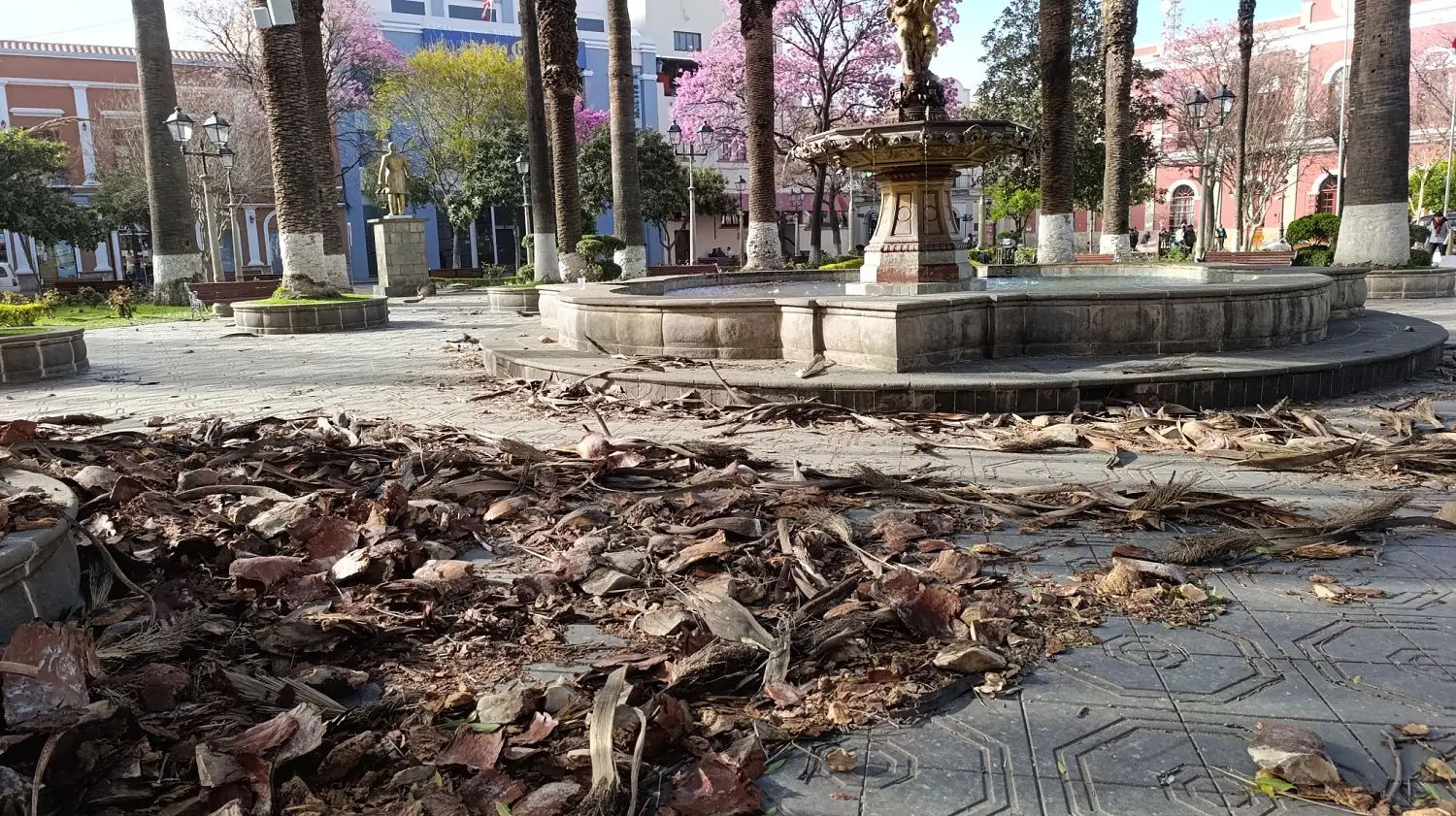 Los vientos causaron 17 emergencias en Tarija; se activó otra alerta