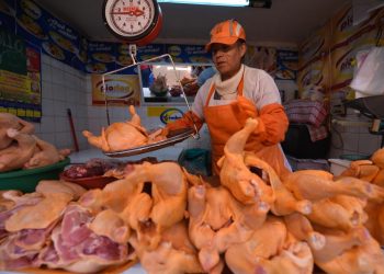 alimentos