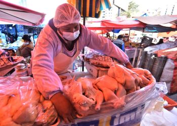 El Gobierno garantiza abastecimiento de carne de pollo y res