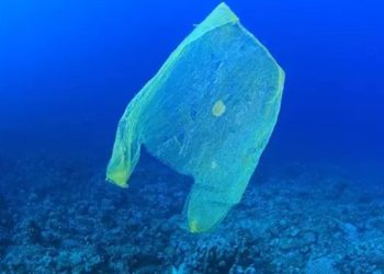 Inglaterra prohíbe la cubertería de plástico de un solo uso para proteger el medioambiente.