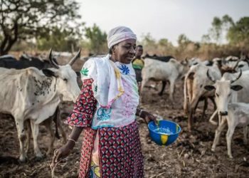Ascienden a 80 las mujeres secuestradas en Burkina Faso.