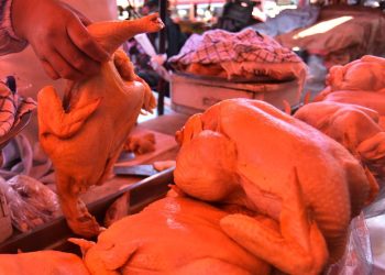 pollo