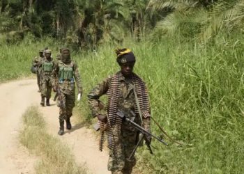 La MONUSCO denuncia la muerte de al menos siete civiles en un ataque.