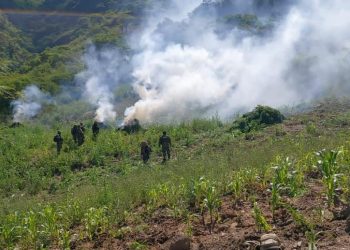 Ministro Del Castillo confirma la incineración de más de 20 toneladas de marihuana