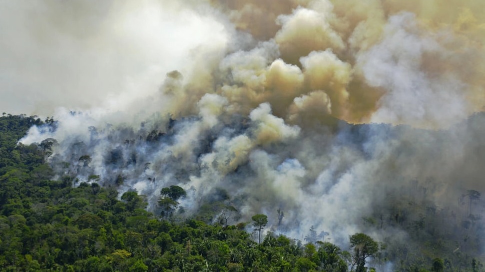 Un tercio de la Amazonia se 'degradó' por el hombre y las sequías, según estudio.