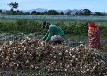 La cebolla se convierte en un producto de lujo en Filipinas.