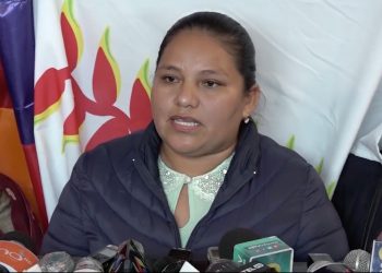 La diputada Choque en conferencia de prensa. Foto: Cámara de Diputados.