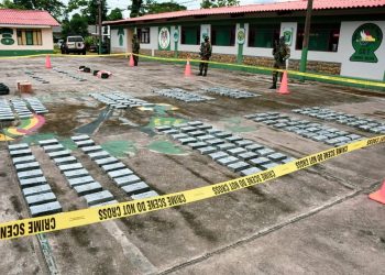 Se secuestra 312 kilos de cocaína en dos operativos de interdicción en el Chapare