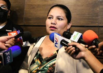 La diputada Choque en contacto con la prensa. Foto: Cámara de Diputados.