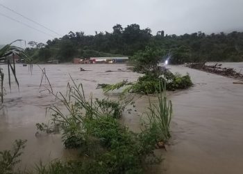 Tipuani