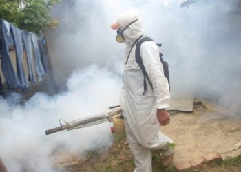 dengue